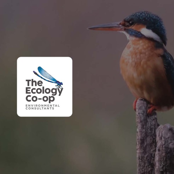 CRM & Workflow System | The Ecology Co-op