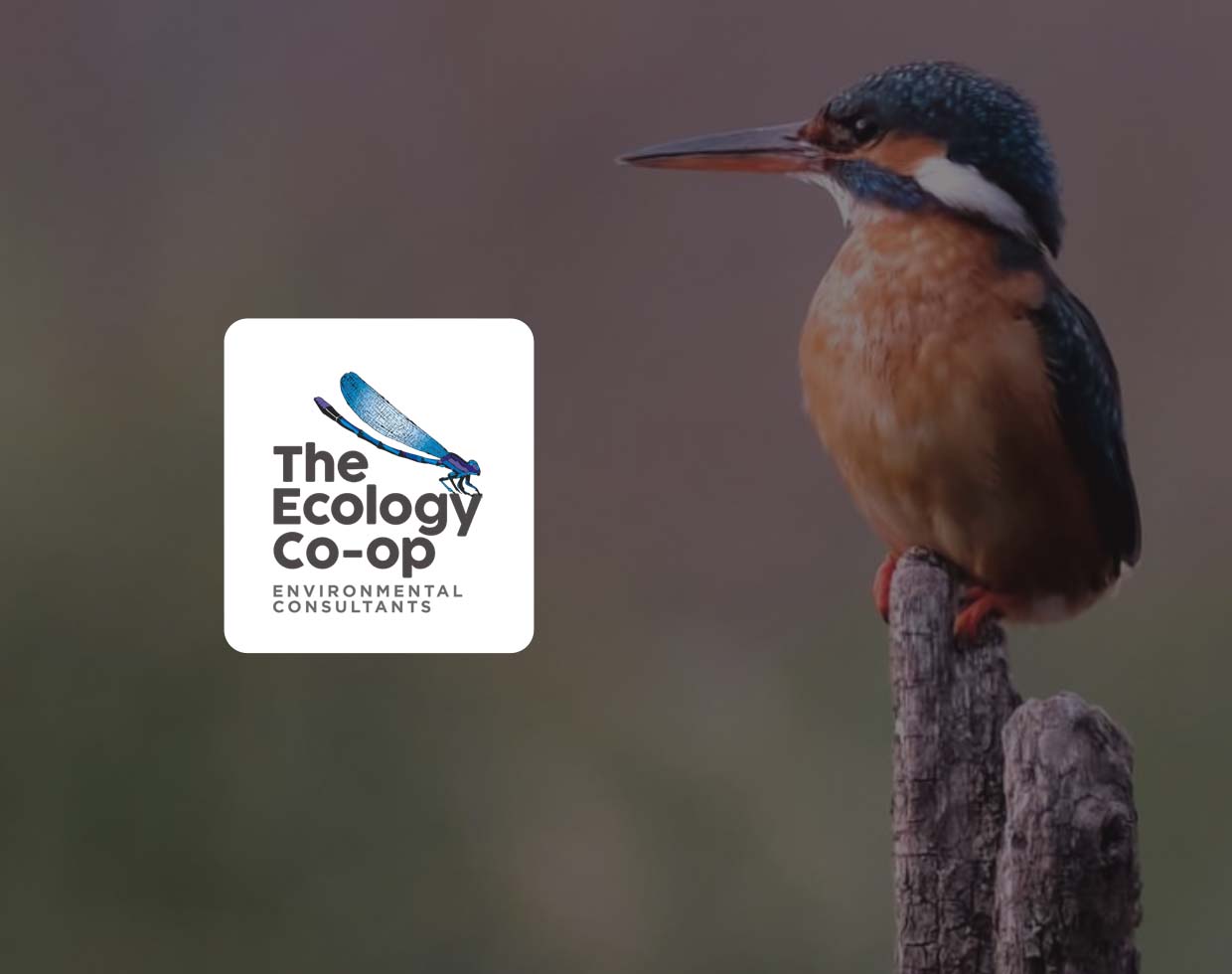CRM & Workflow System | The Ecology Co-op